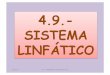 4.9.- SISTEMA LINFÁTICO -   · PDF fileestán bañadas por un líquido que ocupa ... elaboran los linfocitos y se filtran las partículas ... Sus funciones son: 1