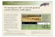 Trampas de corral para marranos salvajes - Plum Creekplumcreek.tamu.edu/media/6608/E-267S-Corral-Traps-for-Feral-Hogs.pdf · comunidades de animales nativas, ... Para reducir el daño