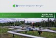 PIPELINE SERVICES - Klohn Crippen · PDF fileEXPERIENCE Peppers II Pipeline, Alberta KCB conducted a scouting alignment and developed an environmental design basis: providing DFO with