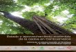 Estado y aprovechamiento sostenible de la caoba en …globaltrees.org/wp-content/uploads/2008/07/Mahogany... ·  · 2014-07-25Fauna & Flora International (FFI), fundada en 1903 y