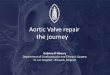 Aortic Valve repair the journey - University of ... · PDF fileAortic Valve repair the journey ... Dilation) may induce aortic regurgitation, and the restoration or recreation of normal