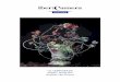 11a TEMPORADA - · PDF filel’actuació del Quartet Casals en un 20è aniversari celebrat mundialment o el debut de la llegendària Philharmonia de Londres, ... la Sonata “Primavera