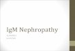 IgM Nephropathy - NYU Langone Health · PDF fileIs IgM Nephropathy a distinct disease entity? Contra • Experimental studies have demonstrated an increase in uptake of macromolecules