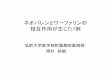 ネオパレンとワーファリンの 相互作用が生じた1例aobyo.umin.jp/file/hiroba/hiroba2015/hiroba_20150608_01.pdfINRコントロールに大きな影響を及ぼした