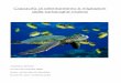 Capacità di orientamento e migrazioni delle tartarughe marinestsbc.ch/Archivio/2009/Bandi/LAM/Valentina Bottani.pdf · Diversi movimenti dopo la ... Chelonia mydas (tartaruga 