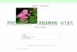 MODUL PRAKTIKUM - bp.ub.ac.id | Blog ini berisi bahan · Web viewBunga anggrek pada umumnya terdiri dari lima bagian utama yaitu : sepal (kelopak), petal (mahkota bunga), Labellum