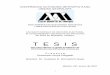 Tesis Moya Completa148.206.53.84/tesiuami/UAMI14124.pdf ·  · 2008-09-28Organización del trabajo ... 1.1. Teóricos de la elección racional, principales aportaciones y criticas