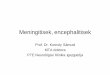 meningitis encephalitis 2008 okt [Kompatibilit si m d]neurology.pote.hu/neuro/modules/stud/data/081008m.pdf · -Koponya MR: Jobb oldali 1 cm-es „vascularis laesio”(sic), Gadolinium