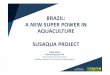 BRAZIL: A NEW SUPER POWER IN AQUACULTURE … caminho para a aquicultura paulista crescer BRAZIL: A NEW SUPER POWER IN AQUACULTURE SUSAQUA PROJECT Felipe Matias Fishery Engineer, Phd