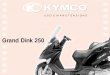 U&M Grand Dink 250 - yourprowebsite.free.fryourprowebsite.free.fr/dinkownerclub/download/UM250.pdf · Desideriamo ringraziarla per aver preferito uno scooter KYMCO. Per mantenere