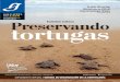 GAN NMAT Preservando Eclosión exitosa tortugas · Preservando tortugas Eclosión exitosa ACADEMIA | 4-5. En cinco años se han liberado más de 250 mil crías en Escuinapa, Sinaloa