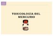 TOXICOLOGÍA DEL MERCURIO - Inicio€¦ ·  · 2014-11-03– alcantarillas 200-400 kg/hab/aÑo hg • contaminante agrÍcola – fenilmercurio – tragedia iraq por consumo de pan