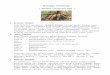 Budidaya Pertanian - MOH HAMDANI | story … sharing ... · Web viewSekarang, seperti yang dilakukan oleh para pengusaha singkong di daerah Lampung, Sulawesi Selatan, serta daerah
