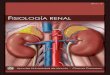 Contenido€¦ ·  · 2013-05-18Anatomia del riñon .....6 25.1.3. Procesos de formación de la orina ... vasos sanguíneos, nervios, vasos linfáticos y los uréteres