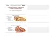 Patologia do Sistema CárdioCárdio--Vasculartostes/arquivos/circula.pdf · Cisticercose Taenia solium T. saginata T. ovis. 19 Cardiomiopatias nos Cães
