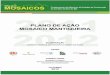 Plano de Ação Mosaico Mantiqueira - icmbio.gov.br€¦ · Sigla Significado GT Grupo de Trabalho INPE Instituto Nacional de Pesquisas Espaciais ... organizações e como tal precisam