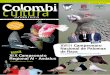 REVISTA DE COLOMBICULTURA ANDALUZA - INICIO ·  3 Colombicultura Andaluza DICIEMBRE 2008 Nº7  COLOMBICULTORES ANDALUCES La Dirección de la revista espera y de-