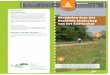 Informatie Wandelroute - itfryskegea.nl van andere reptielen en amfi bieën. De heikikker bijvoor-beeld komt er voor, evenals de kleine watersalamander en de levendbarende hagedis