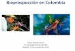 Bioprospección en ColombiaOophaga histrionica) y (Oophaga sylvatica) de su hábitat natural, ofreciendo hasta $20.000 pesos por cada una. Se calcula extraoficialmente que unas 200