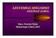 LEUCEMIAS MIELOIDES AGUDAS (LMA)ecaths1.s3.amazonaws.com/hematologiaclinicafacena/793279646... · LEUCEMIAS MIELOIDES AGUDAS (LMA) Bqco. Gonzalo Ojeda Hematología Clínica 2013
