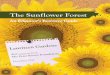 An Educator’s Resource Guide - lauritzengardens.org€¦ · An Educator’s Resource Guide Table of Contents Section Page Why a Sunflower Forest? 1 Sunflower Forest Project Partners