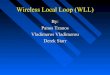 By: Panos Tzanos Vladimeros Vladimerou Derek Starr · Definition What is WLL? - WLL is a system that connects subscribers to the local telephone station wirelessly. Systems WLL is
