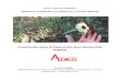  · Web viewGuía: Flor de Jamaica (Hibiscus sabdariffa L) e (Hibiscus cruentus Bertol) Asociación para el Desarrollo Eco-Sostenible ADEES Enero de 2012 Elaborado Por ... En Nicaragua