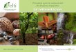 Principios para la restauración de bosques tropicales: La ...elti.fesprojects.net/2013Azuero/a.calle.reforestacion.pdf · demanda de especies nativas. Compran semillas, intercambios