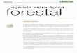 PROPUESTA DE forestal€¦ ·  · 2017-06-27El objetivo de la Agenda Estratégica Forestales movilizar el potencial forestal español tanto en términos sociales (empleo rural),