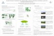 Gestión forestal e indicadores de biodiversidad: patrones …€¦ ·  · 2011-07-11INTRODUCCIÓN Entender las consecuencias de las perturbaciones selvícolas sobre los paisajes