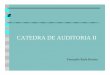 CATEDRA DE AUDITORIA II - …auditor2006.comunidadcoomeva.com/blog/uploads/1.Presentacion... · Normas Internacionales de Auditoría (NAGA-NIA) AMERICAN INSTITUTE OF CERTIFIED 