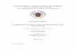 UNIVERSIDAD COMPLUTENSE DE MADRID FACULTAD DE …eprints.ucm.es/40547/1/T38153.pdf · Departamento de Teoría e Historia de la ... Alasdair MacIntyre y Bernard Lonergan en el ámbito