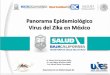 Panorama Epidemiológico Virus del Zika en México - epa.gov · Virus del Zika en México ... Dolor Retroocular. No Existe Tratamiento Especifico . Flavivirus de Cadena ... 80% esta