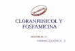CLORANFENICOL Y FOFAMICINA - Repositorio Moodlefiles.uladech.edu.pe/docente/.../FARMACOQUIMICA_II/... · CLORANFENICOL •ESPECTRO ANTIBACTERIANO: Amplio.Garm (-)y (-), anaerobios,