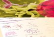 La recherche d’une flore - Canopé Bordeaux : Accueilcrdp.ac-bordeaux.fr/biologie-technique/biotechnologies/... ·  · 2013-10-02La recherche d'une flore particulière 34 35 1