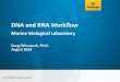 DNA and RNA Workflow - Double Helix Ranchdoublehelixranch.com/Promega.pdfDNA and RNA Workflow ... • Yields are highly variable, but human and bacterial DNA are both detectable. 