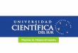 Presentación de PowerPoint - Institucionalizando el ...ticas de crecimiento verde en el Perú. Extensión Red Universitaria Ambiental –Nodo Científica Ponencia Lineamientos para