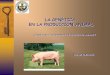 LA GENÉTICA EN LA PRODUCCIÓN ANIMAL: DEFINICIÓNucv.ve/.../Producion_Animal/ProducciOn_Animal/2_Genetica_etapaII.pdf · El estudio de la herencia de las característica de importancia