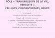 PÔLE « TRANSMISSION DE LA VIE, HEREDITE ... 3 Génétique moléculaire : expression de l’infomation génétiue Chapitre 4 Cycle cellulaire Chapitre 5 Processus tumoral et cancer