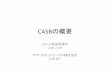 CASBの概要 - CSAジャパンcloudsecurityalliance.jp/.../20150728/CASB_overview.pdfCASB （キャスビー）とは? • Cloud Access Security Broker ポリシーの適用ポイント。企業のクラウド・サービ