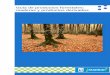 Guía de productos forestales: maderas y productos … políticas de compra responsable a través de la incorporación de criterios medioambientales y sociales en la selección de