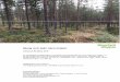 Skog och jakt nära Insjönparser.wibergh.com/assets/files/4IERH51LTERE91T8.pdffastigheten och förvissa sig om dess skick, gränser och areal före köpet. Köparen ges därför möjlighet