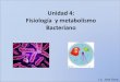 Unidad 4: Fisiología y metabolismo Bacterianofisiologia... · Porque estudiar metabolismo?? • Para el desarrollo de medios de cultivo para ... catabolismo de carbohidratos. La