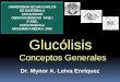 G L U C Ó L I S I S adaptación de clase³lisis 3a. Etapa: Metabolismo de Triosas. 8-El 3 fosfoglicerato es convertido en 2 fosfoglicerato en una reacción reversible por la enzima