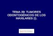 TEMA 39: TUMORES ODONTOGÉNICOS DE LOS ...ocw.uv.es/ciencias-de-la-salud/cirugia-bucal/34715mats39.pdf3- Tumor odontogénico epitelial calcificante (T. Pindborg) 4- Tumor odontogénico