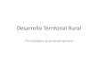 Desarrollo Territorial Rural - iheal.univ-paris3.fr · Limitaciones de los enfoques tradicionales del desarrollo rural: Hacen caso omiso del alto grado de heterogeneidad que caracteriza