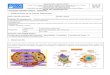 Guía de Aprendizaje de la FPI · Web viewActividad nº 2 Explico cada uno de los siguientes términos: citoplasma, núcleo, vacuolas, mitocondria, ribosomas, órganos, sistema, tejido,