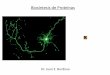 Biosíntesis de Proteínas - bioquimicakinesio.wordpress.com · Transcripción (elementos necesarios, secuencia de reconocimiento) Estímulos del ambiente generan la producción y/o
