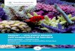 ZEOvit – Una Pietra Miliare nell’acquariofilia di barriera€™s Coral Vitalizer • Alimento speciale per tutti i tipi di coralli, indicato soprattutto per SPS e coralli molli,