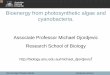 Bioenergy from photosynthetic algae and cyanobacteria…energy.anu.edu.au/files/09_bioenergyfromphotosyntheticalgaecyano... · Bioenergy from photosynthetic algae and cyanobacteria